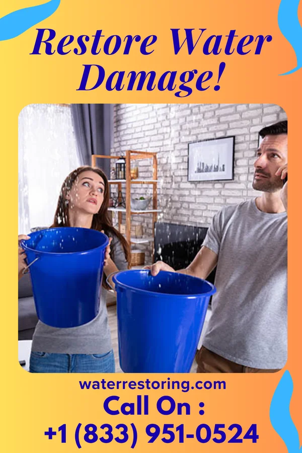 water restoration Ultimate Water Removal Team New Johnsonville