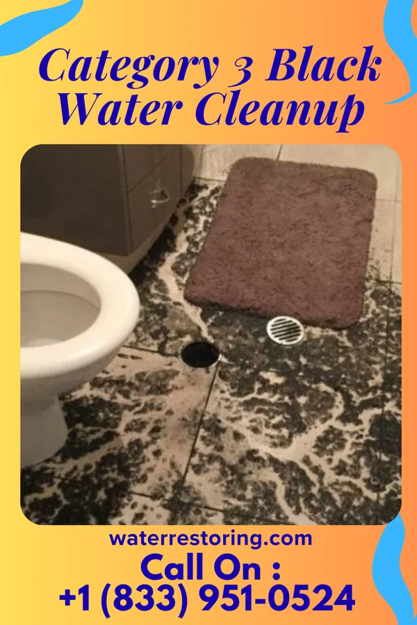 Category 3 Black Water Cleanup in New Johnsonville, TN