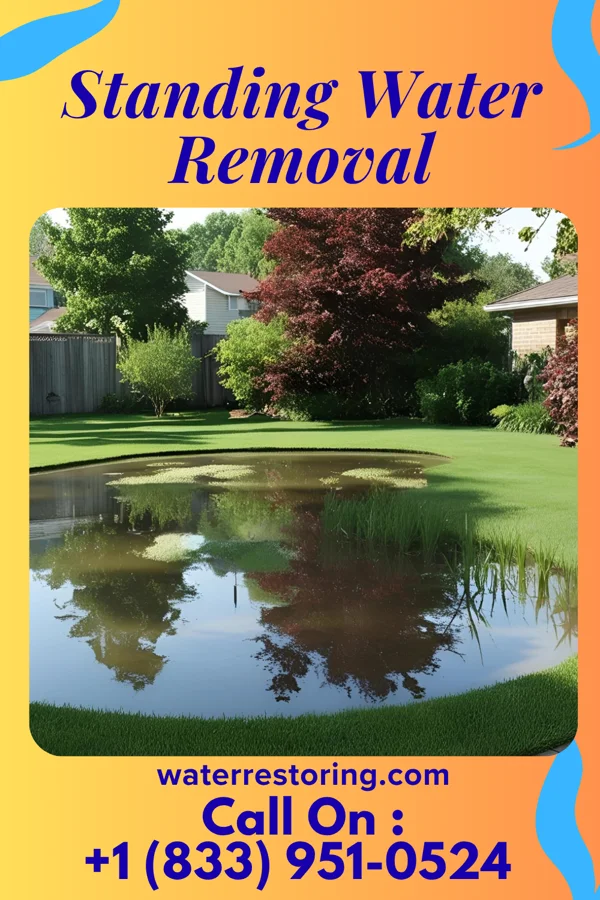 Standing Water Removal in New Johnsonville, TN